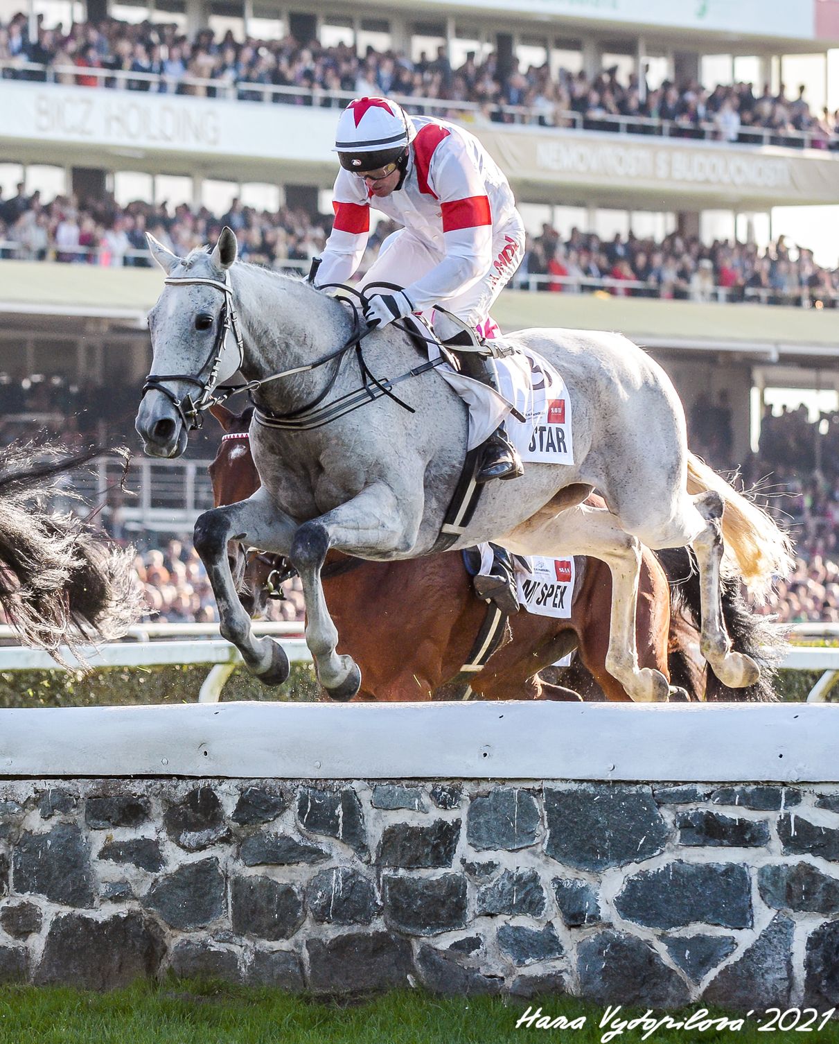 Star vybojoval šieste miesto v 131. Veľkej pardubickej