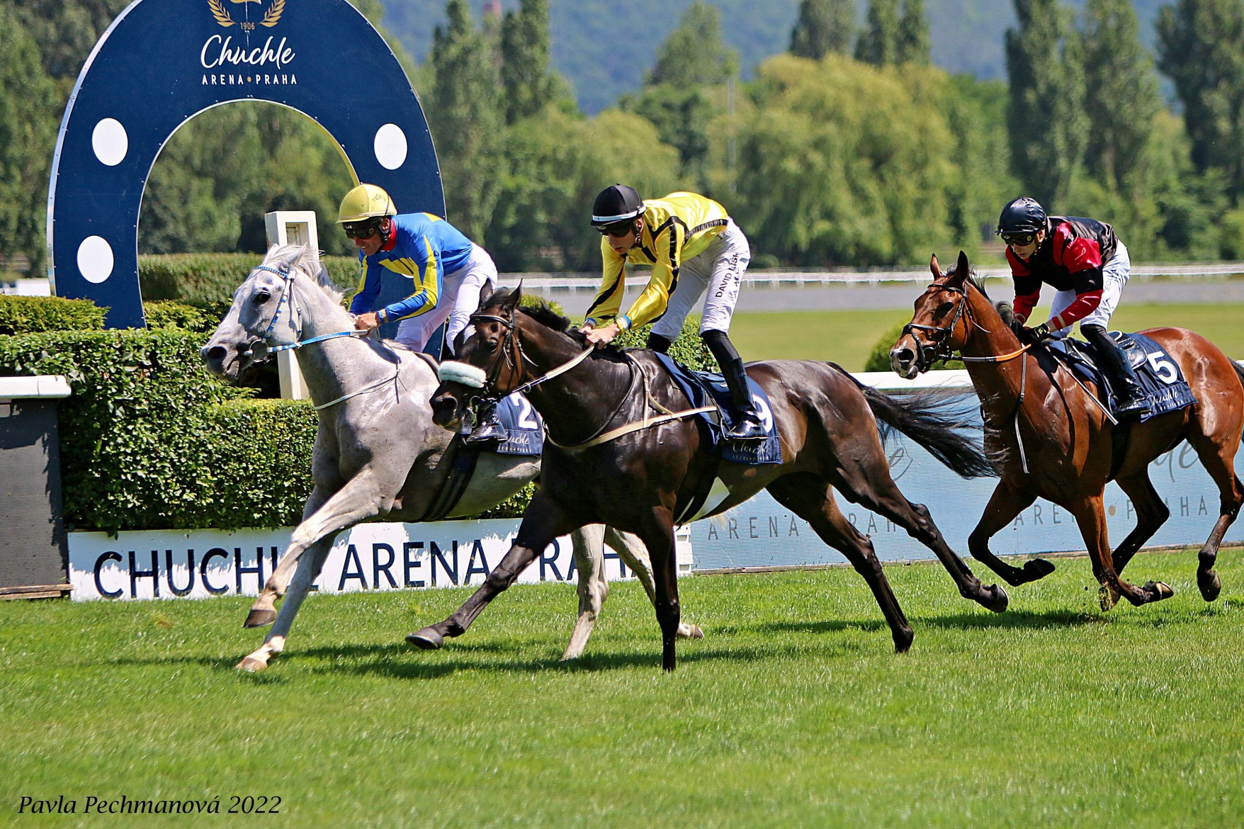 Gentleman Jack štvrtý v Sprinterskej cene pri derby dni