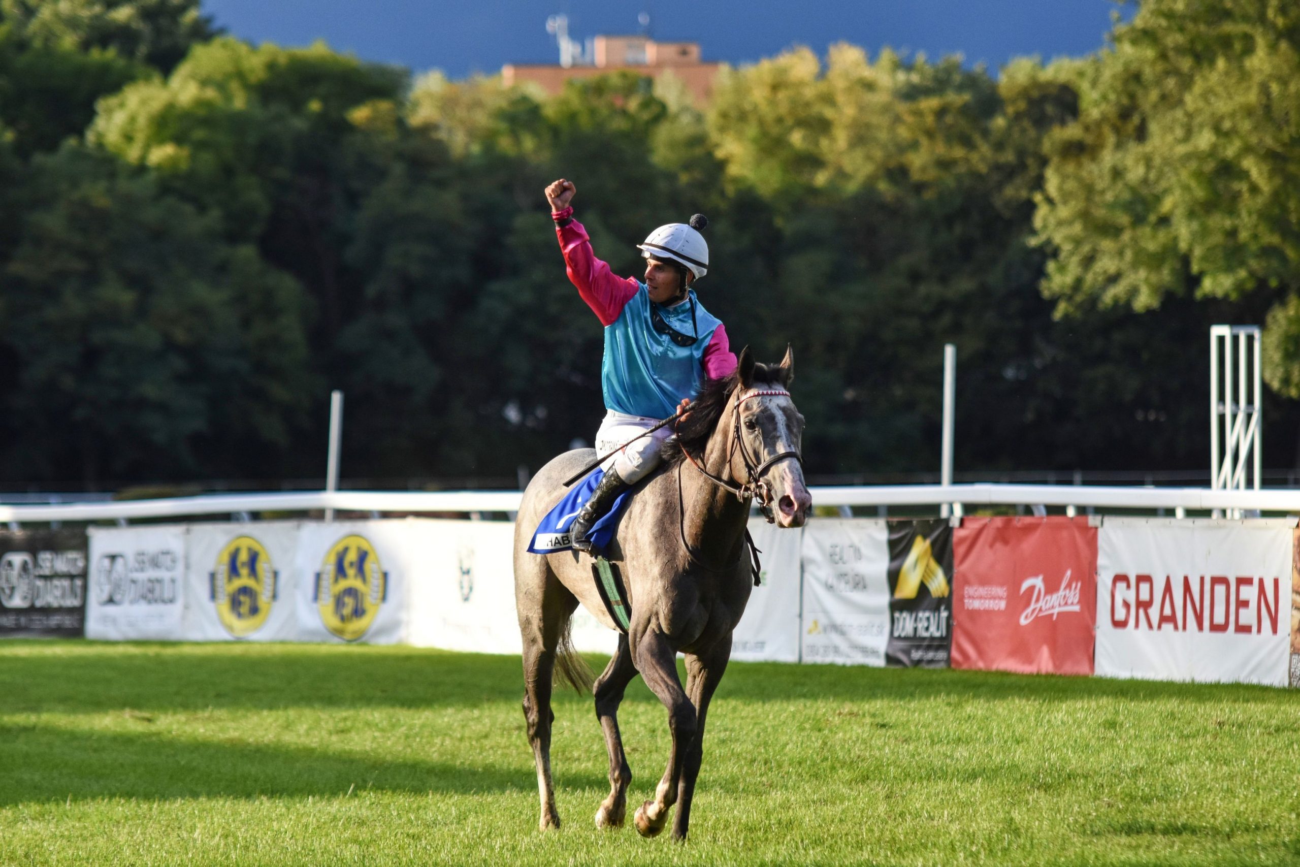 Shabana uspela aj v Oaks, Zimnou kráľovnou je Feschanda