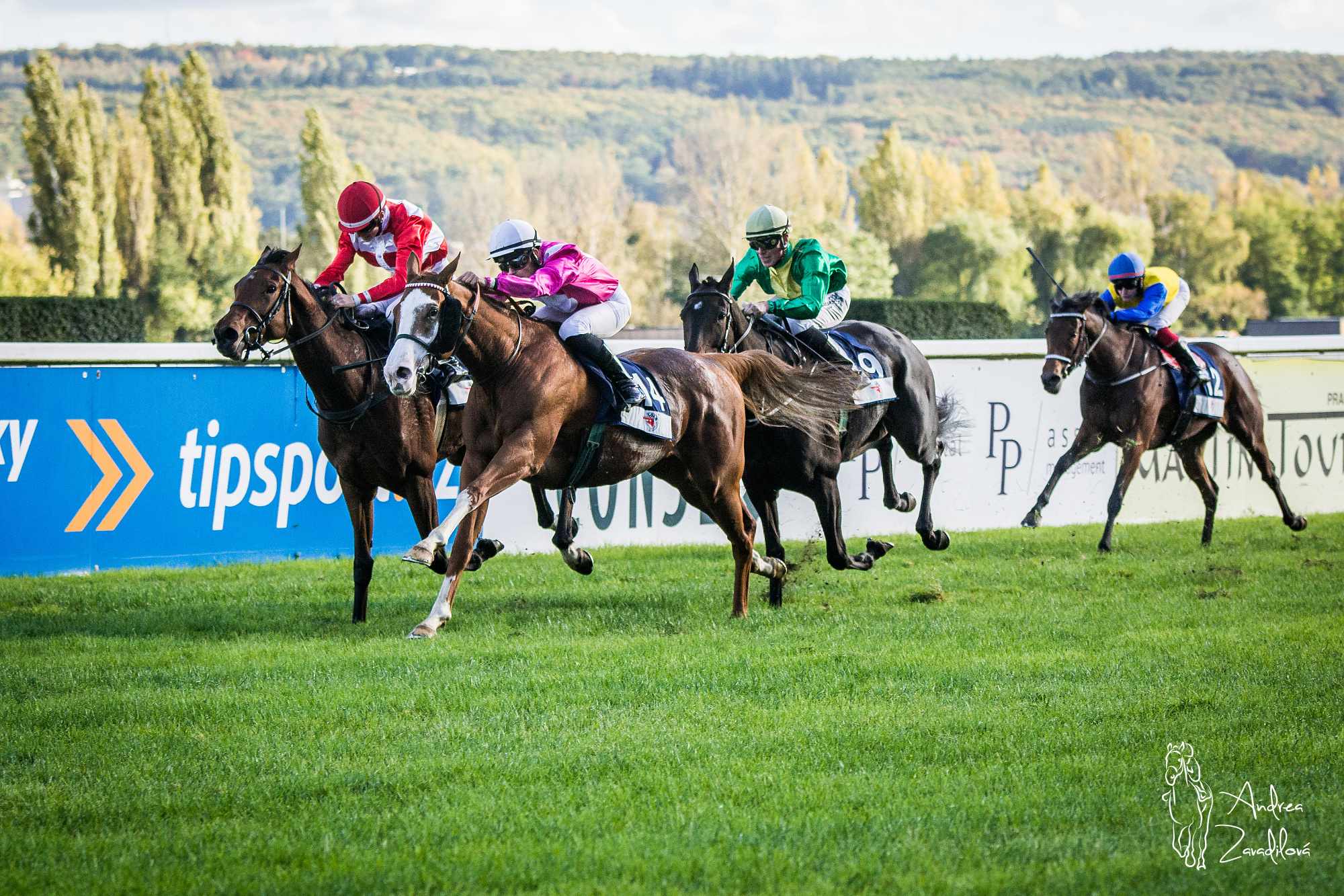 Slovenské kobyly na tabuli v „Prezidentovi“, Royal Gino zložil reparát v Crystal Cupe